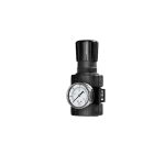 Samson Air Regulator & Gauge