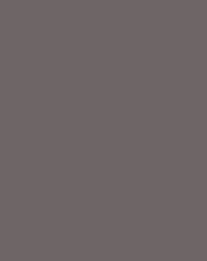 404-422755 Premier C Panel - Blank