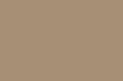 W02959-G354 Lower Door Decal - Narrow Frame - Exxon Tan